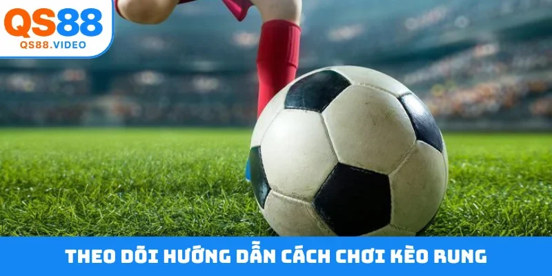 Theo dõi hướng dẫn cách chơi kèo rung